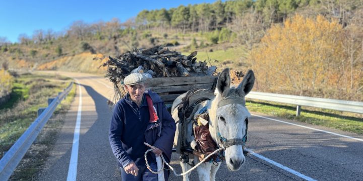 Sin miedo a la subida del combustible: Con el carro y el burro a por leña en la Sierra de Francia